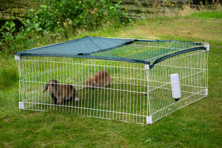 dobar Freilaufgehege mit Häuschen